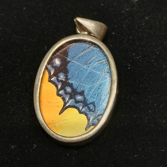 Real Butterfly wings in Sterling Silver Necklace- Nature's Jewels - Picture 4 of 9